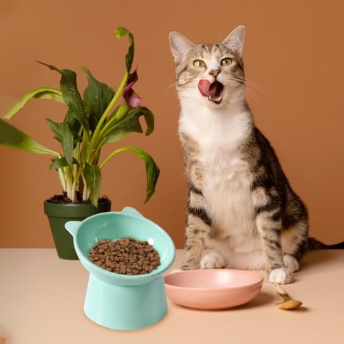 Qpets® Cat Feeding Bowl, 11.5cm Elevated Cat Bowl Feeder, Raised Anti Vomiting 45°Slanted Bowl Pet Food Dish Healthy with Anti-Tip Design for Kittens (2Pcs, Green) Qpets® Cat Feeding Bowl, 11.5cm Elevated Cat Bowl Feeder, Raised Anti Vomiting 45°Slanted Bowl Pet Food Dish Healthy with Anti-Tip Design for Kittens (2Pcs, Green)